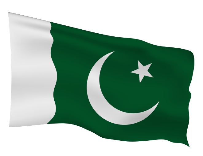 Pakistan Flag Scalable | Cheap Vector Art